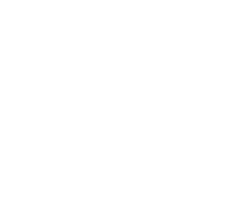 Holbrook Leavitt & Associates PLLC